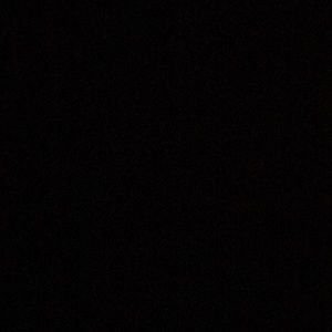 Meet your Posher, Celia